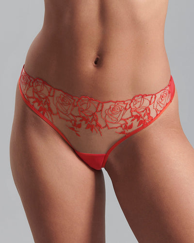 Rosalie Sheer Brief Red