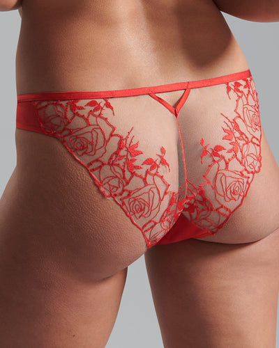Rosalie Sheer Brief Red