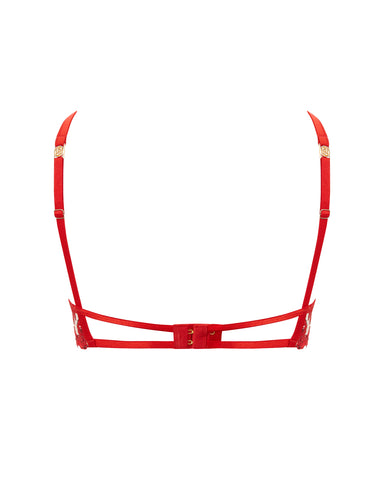 Lavanya Embroidered Longline Bra Red